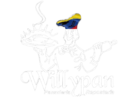 Willy Pan